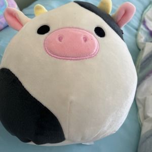 Meet your Posher, Ella